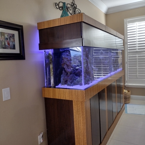 Fishtank/Aquarium - Picture 4 of 6